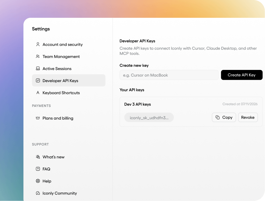 Developer API keys settings in Iconly